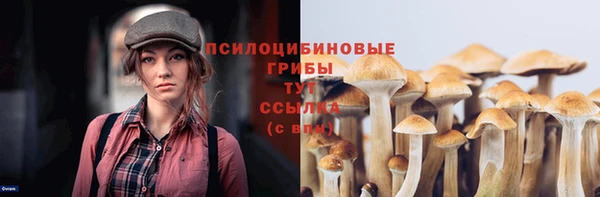 сатива Армянск