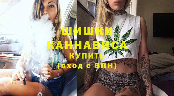 сатива Армянск