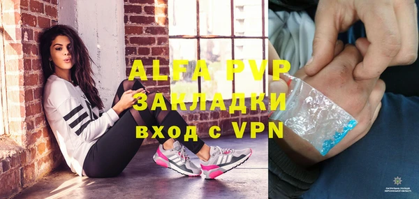 твердый Арсеньев