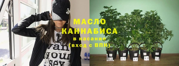 твердый Арсеньев