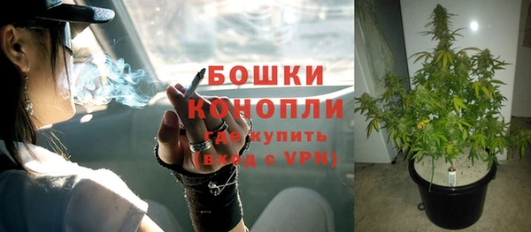 сатива Армянск