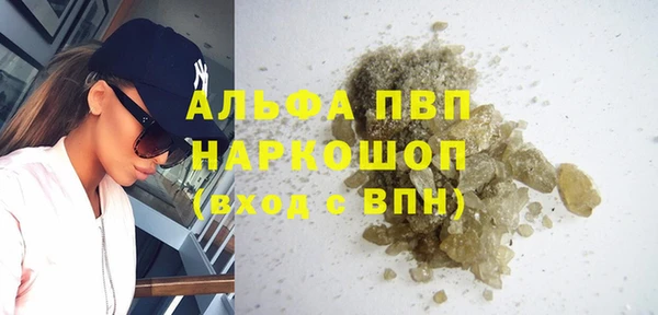 сатива Армянск