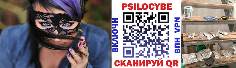Псилоцибиновые грибы GOLDEN TEACHER  продажа наркотиков  Сосновый Бор 
